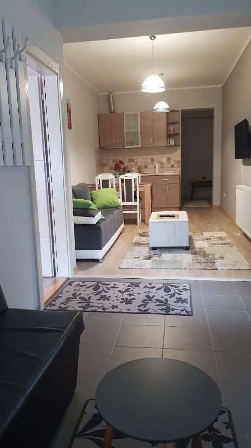 Apartmani V&F Vrnjačka Banja Екстериор снимка