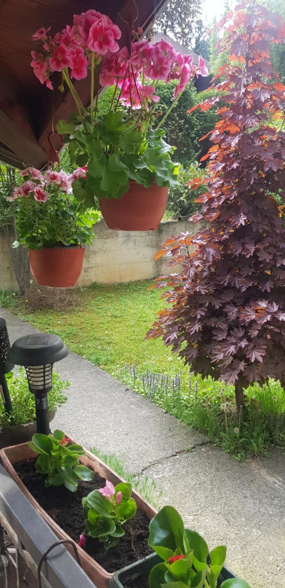 Apartmani V&F Vrnjačka Banja Екстериор снимка