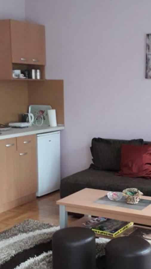 Apartmani V&F Vrnjačka Banja Екстериор снимка