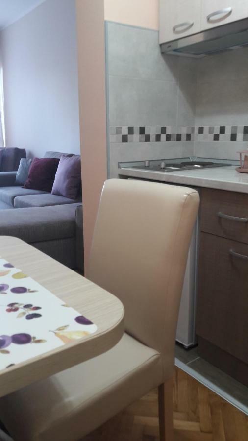 Apartmani V&F Vrnjačka Banja Екстериор снимка